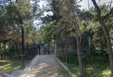 Entrada principal woodscape