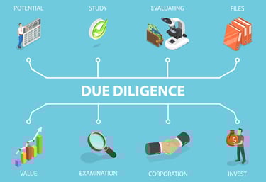 Diagram Outlining Components of Due Diligence