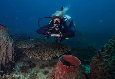 Female scuba diver in perfect horizontal trim hovering over coral reef during a PADI Deep Diver cour