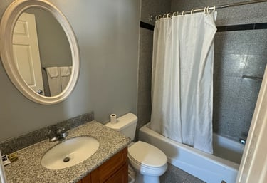 a bathroom with a sink, toilet and a shower