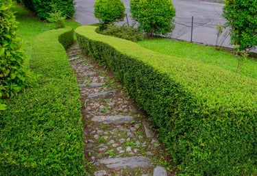 clean edging near me oklahoma