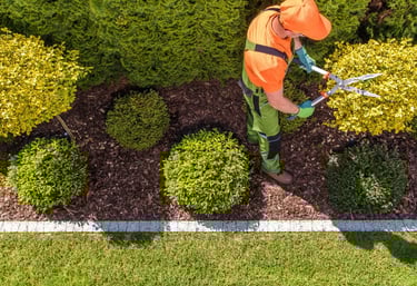 professional trimming near me oklahoma