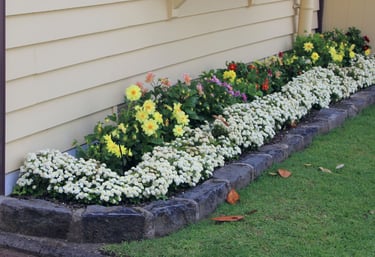 professional landscaping services