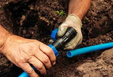 commercial landscaping services