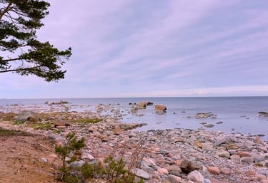 Estland Küste Ostsee Finnland