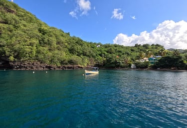 Karibik Katamarantörn