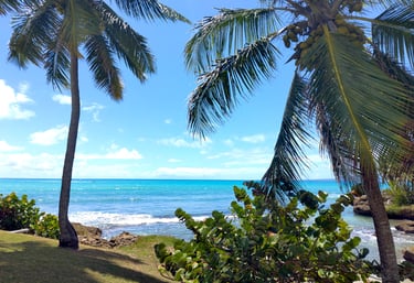 Guadeloupe Segelreise Leeward Islands