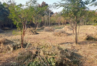 Immobilie zum Verkauf in Colonia Independencia, Paraguay