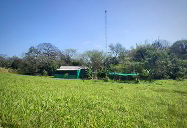 Immobilie zum Kauf in kleiner Siedlung bei Colonia Independencia in Paraguay
