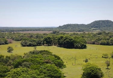 Teilbares 8 ha Grundstück in Kapii, bei Colonia Independencia