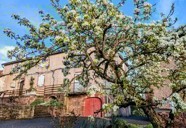 Un poirier en fleur devant une maison