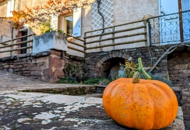 Une citrouille posée sur le sol