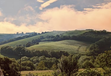 Paysages de campagne verdoyante