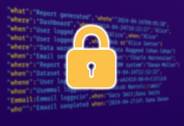 data of an audit trail hiden by a lock
