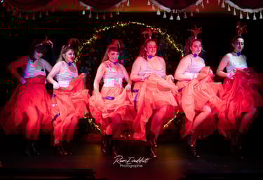 Cabaret, cols plumes, paillettes, talons strass, danseuse, showgirl, public, éventails, burlesque