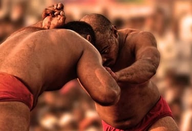 Malla-Yuddha: The Art of Wrestling?