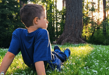 A young boy sits in a grassy field of white daisies at sunset near a large tree in the woods.