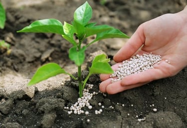 Fertilizers Packaging