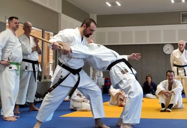 Activité Taï-Jitsu Self-défense