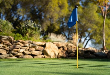phoenix artificial putting green turf