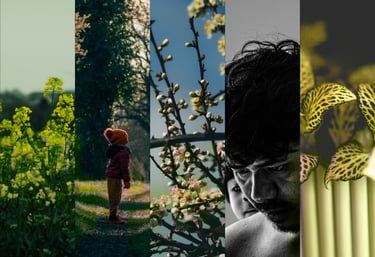 Cover Photo