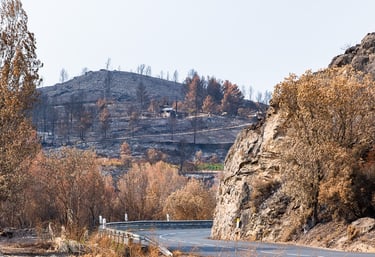 Incendie de l'Aude août 2025. Végétation et collines calcinée.