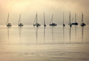 abogados expertos en demandas al TEDH