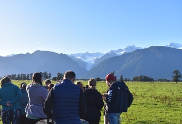 group overlooking fox glacier on a tour in new zeland 