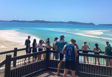 a group overlooking whitehaven beach on tour in australia