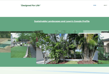 Portfolio gallery of professional residential landscape design and sustainable lawn installations.