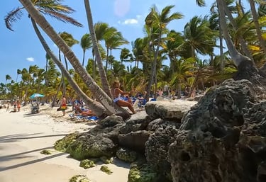 Punta cana day trips