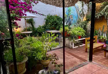 patio, chill zone, hostel con jardín, terraza, barbacoa.