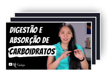 Slides Digestão e absorção