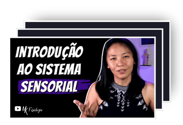 Slides Sistema sensorial
