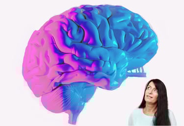 Gehirn rosa-blau und Gabriela