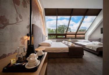 3⭐️ Alexander Hotel