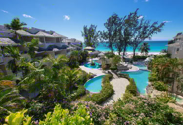 4⭐️ Bougainvillea Barbados