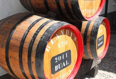 Stacked barrels of Madeira wine