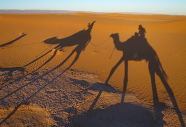 Desert safari with camels