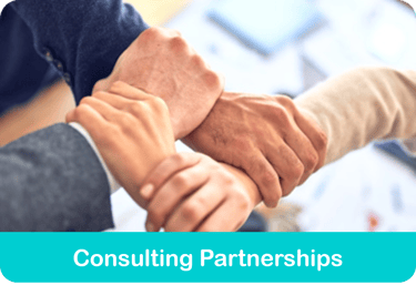 Consulting Partnerships