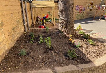 honeybee nursery garden plan area