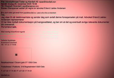 Erlend Liaklev Andersen,Elizabeth Grøndal,Diakonhjemmet sykehus,Kontrollkommisjon,