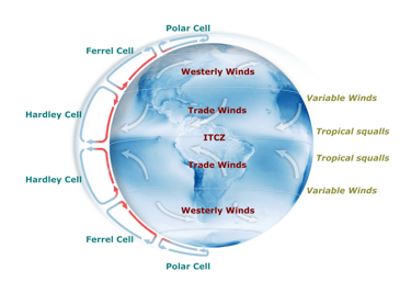 arth circulation model showing Hadley, Ferrel, and Polar cells and major wind belts