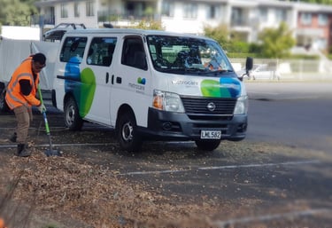 Rubbish Removal and Site Clearing Auckland