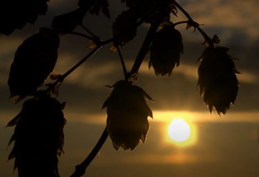 a sun setting on a cloudy day with the sun setting