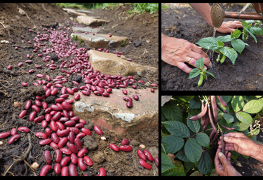 The great commission: go and make disciples of all nations.