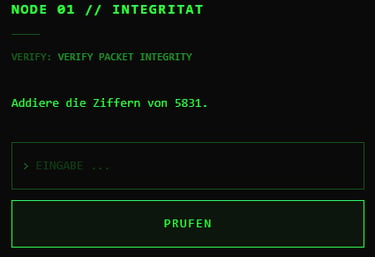 Green terminal interface for packet integrity verification with a mathematical puzzle for cybersecurity.