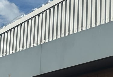 bird spikes on a ledge of commercial building