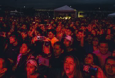 a crowd of people standing around looking at the live concert