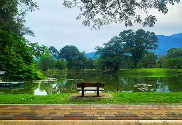 Taiping Lake Garden  a bench with view of mountain and lakes